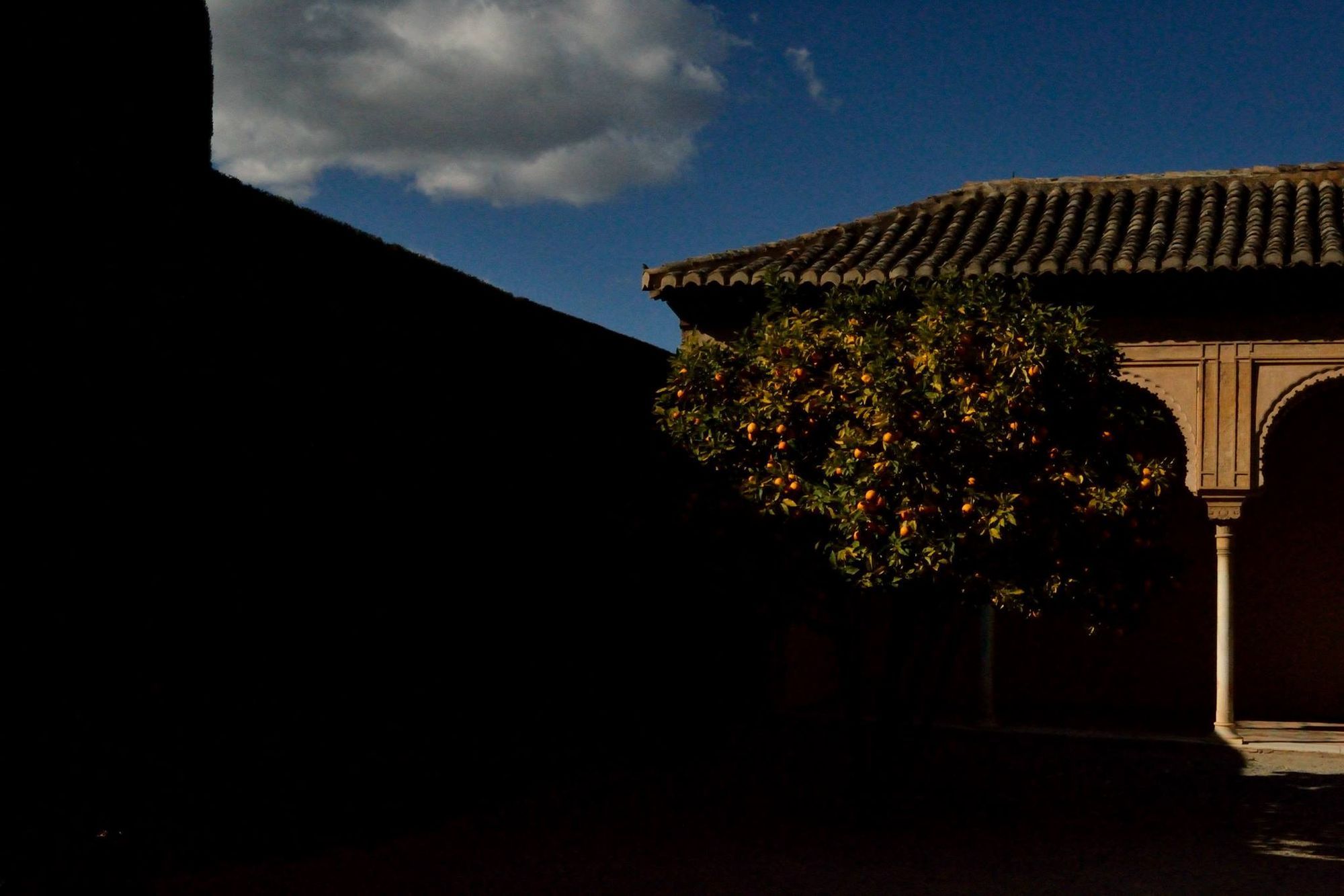 Cortile dell'Alhambra con un albero di arance tra ombra e luce